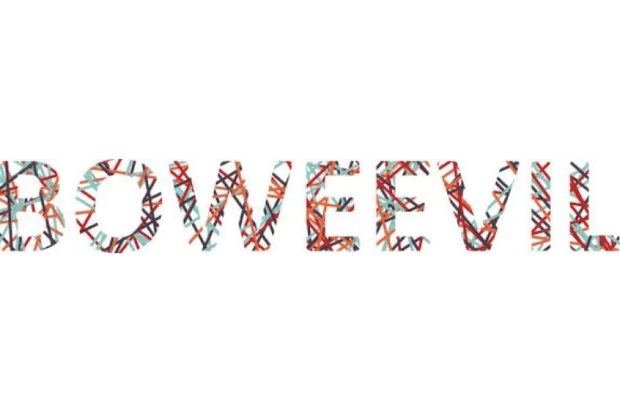 Boweevil logo